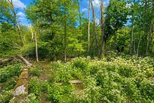 109 Foxgrape Hollow, Beech Mountain, NC 28604 - Photo 18