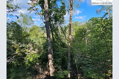109 Foxgrape Hollow, Beech Mountain, NC 28604 - Photo 36