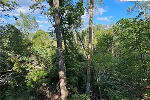 109 Foxgrape Hollow, Beech Mountain, NC 28604 - Photo 36