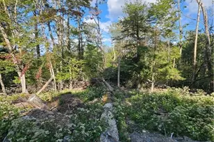 109 Foxgrape Hollow, Beech Mountain, NC 28604 - Photo 38