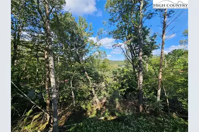 109 Foxgrape Hollow, Beech Mountain, NC 28604 - Photo 30