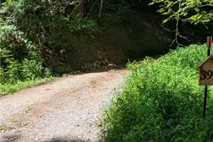 399 Ravens Ridge Cir, Boone, NC 28607 - Photo 38