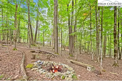 209 Tamarack Road, Beech Mountain, NC 28604 - Photo 40