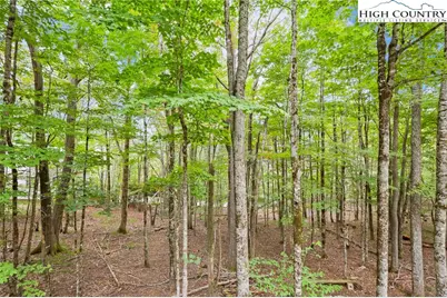 209 Tamarack Road, Beech Mountain, NC 28604 - Photo 46