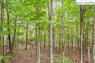 209 Tamarack Rd, Beech Mountain, NC 28604 - Photo 46