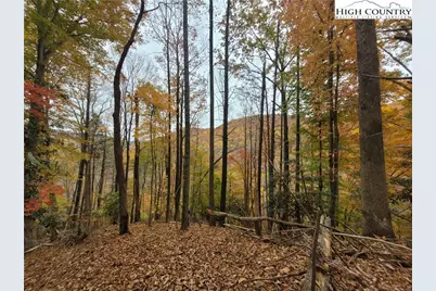 812 Jakes Mountain Road, Deep Gap, NC 28618 - Photo 48