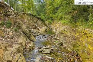 812 Jake's Mountain Rd, Deep Gap, NC 28618 - Photo 6