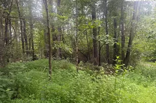 Tbd Beaver Creek Dr, West Jefferson, NC 28694 - Photo 1