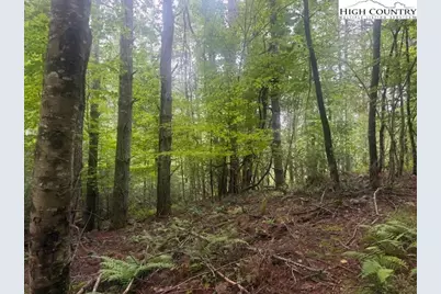 Tbd Beaver Creek Drive, West Jefferson, NC 28694 - Photo 4