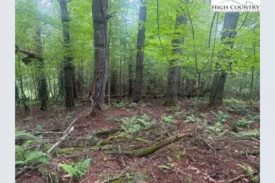 Tbd Beaver Creek Drive, West Jefferson, NC 28694 - Photo 2