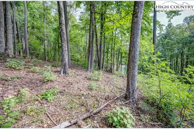 Lot 49 Wildcat Wilderness Parkway, Deep Gap, NC 28618 - Photo 2