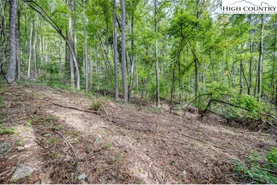 Lot 49 Wildcat Wilderness Parkway, Deep Gap, NC 28618 - Photo 4