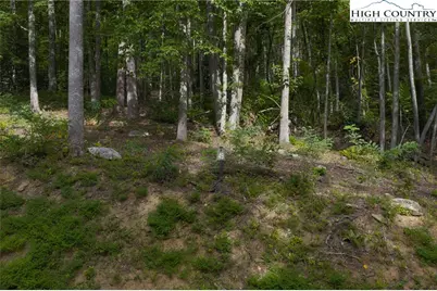Lot 49 Wildcat Wilderness Parkway, Deep Gap, NC 28618 - Photo 26
