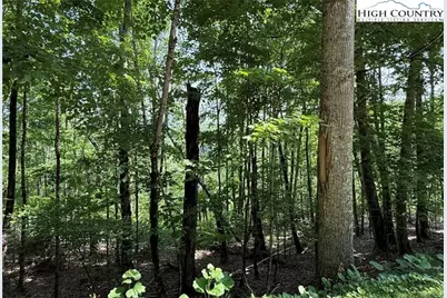 172 Hemlock Hills, Beech Mountain, NC 28604 - Photo 2