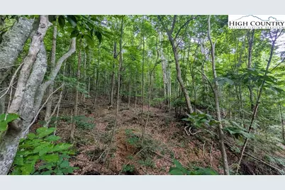 Tbd (Lot 9) Poplar Forest Drive, Boone, NC 28607 - Photo 20