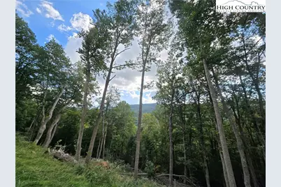 Tbd (Lot 9) Poplar Forest Drive, Boone, NC 28607 - Photo 16
