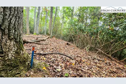 Lot 49 Abaco Drive, Vilas, NC 28692 - Photo 8