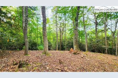 Lot 49 Abaco Drive, Vilas, NC 28692 - Photo 1