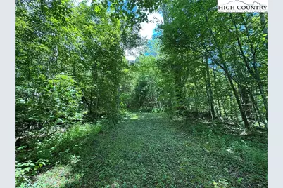 Tbd Bryan Davis Road, Creston, NC 28615 - Photo 8