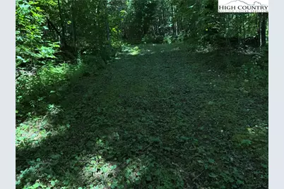 Tbd Bryan Davis Road, Creston, NC 28615 - Photo 20