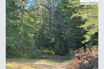 Tbd Bryan Davis Road, Creston, NC 28615 - Photo 42