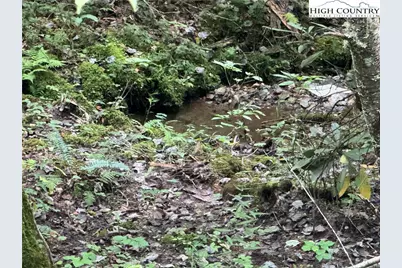 Tbd Bryan Davis Road, Creston, NC 28615 - Photo 16