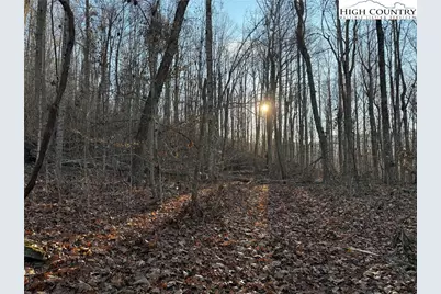 Tbd Sonterra Drive, Lansing, NC 28643 - Photo 12