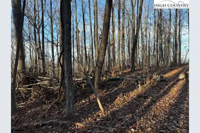 Tbd Sonterra Drive, Lansing, NC 28643 - Photo 16