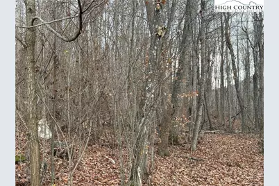 Tbd Sonterra Drive, Lansing, NC 28643 - Photo 8