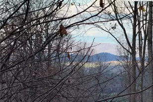 Tbd Sonterra Dr, Lansing, NC 28643 - Photo 1