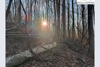 Tbd Sonterra Drive, Lansing, NC 28643 - Photo 14