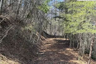 Tbd Lot 30 Shawnee Trail, Jefferson, NC 28640 - Photo 1