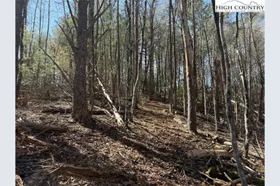 Tbd Lot 30 Shawnee Trail, Jefferson, NC 28640 - Photo 6