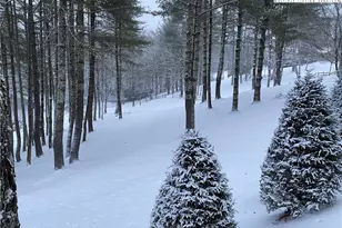 198 Little Harbour, Vilas, NC 28692 - Photo 44