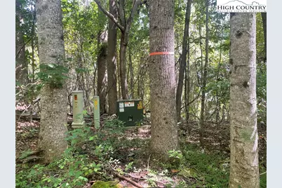 Tbd Highlands Trail, Grassy Creek, NC 28631 - Photo 24