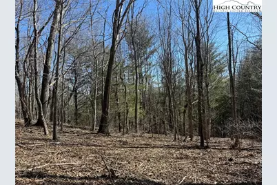 Tbd Highlands Trail, Grassy Creek, NC 28631 - Photo 6