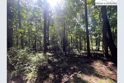 Tbd Highlands Trail, Grassy Creek, NC 28631 - Photo 16