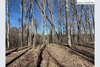 Tbd Highlands Trail, Grassy Creek, NC 28631 - Photo 4