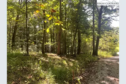 Tbd Highlands Trail, Grassy Creek, NC 28631 - Photo 14