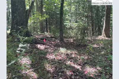 Tbd Highlands Trail, Grassy Creek, NC 28631 - Photo 22