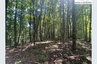 Tbd Highlands Trail, Grassy Creek, NC 28631 - Photo 16