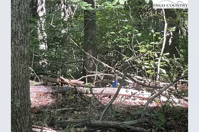 Tbd Highlands Trail, Grassy Creek, NC 28631 - Photo 18