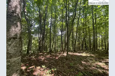 Tbd Highlands Trail, Grassy Creek, NC 28631 - Photo 12