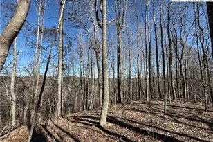 Tbd Highlands Trail, Grassy Creek, NC 28631 - Photo 1