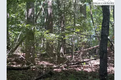 Tbd Highlands Trail, Grassy Creek, NC 28631 - Photo 26