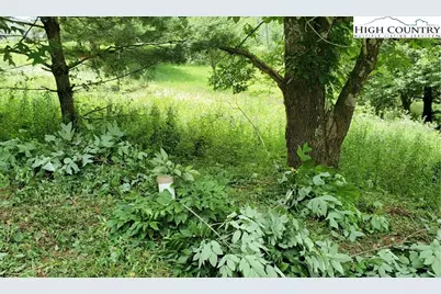 Tbd Mulatto Mountain Road, West Jefferson, NC 28694 - Photo 6