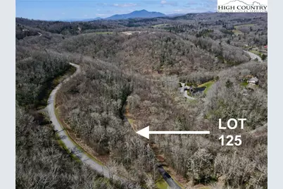 125 Stone Ledge Lane, Blowing Rock, NC 28605 - Photo 2