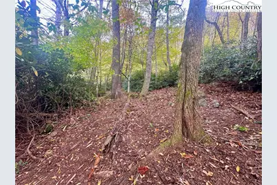 125 Stone Ledge Lane, Blowing Rock, NC 28605 - Photo 12