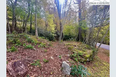 125 Stone Ledge Lane, Blowing Rock, NC 28605 - Photo 8