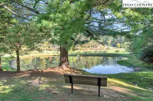 225 Hope Town Rd, Vilas, NC 28692 - Photo 34